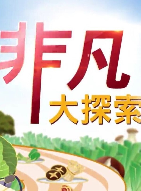 推特博主Elsa真实约反差钢琴老师啪啪自拍 - 凹凹AV